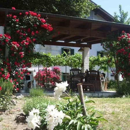 Casa Di Alfredo B&B - Citr9039 Mioglia Dış mekan fotoğraf